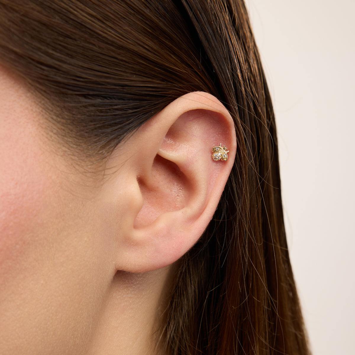 Vita Arı Figürlü Çok Taşlı Altın Kulak Piercing