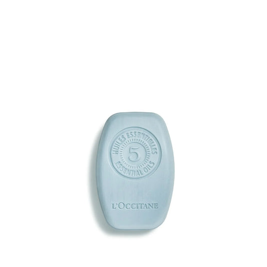 Solid Shampoo 60gr - Purifying