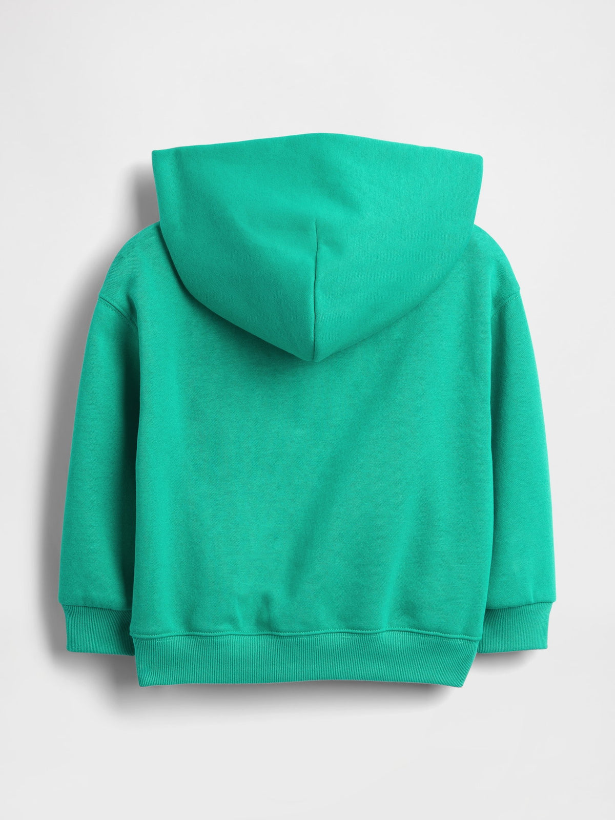 Açık Yeşil Vintagesoft Relaxed Kapüşonlu Sweatshirt