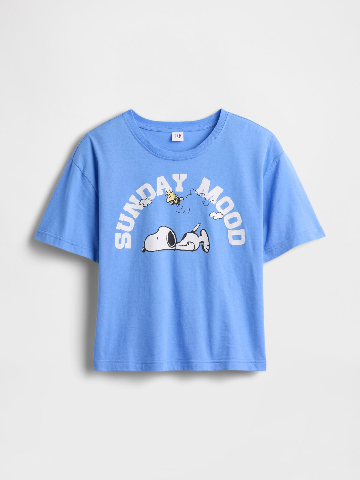 Açık Mavi Peanuts Oversized Grafik Baskılı T-shirt