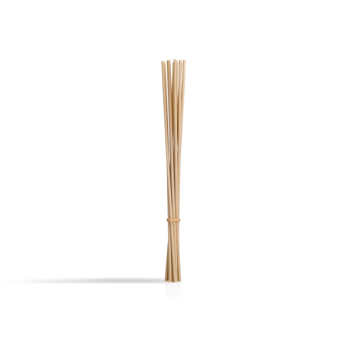 Set Of 10 Home Diffuser Sticks