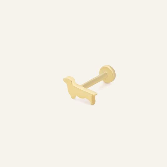 Sosis Köpek Altın Kulak Piercing