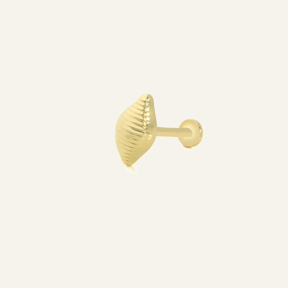 Waveon Deniz Kabuğu Figürlü Altın Kulak Piercing