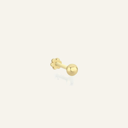 Kasoren Altın Kulak Piercing