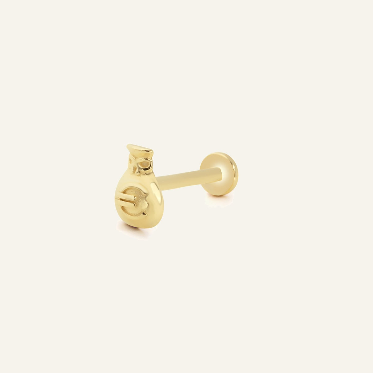 Euro Kesesi Figürlü Altın Kulak Piercing