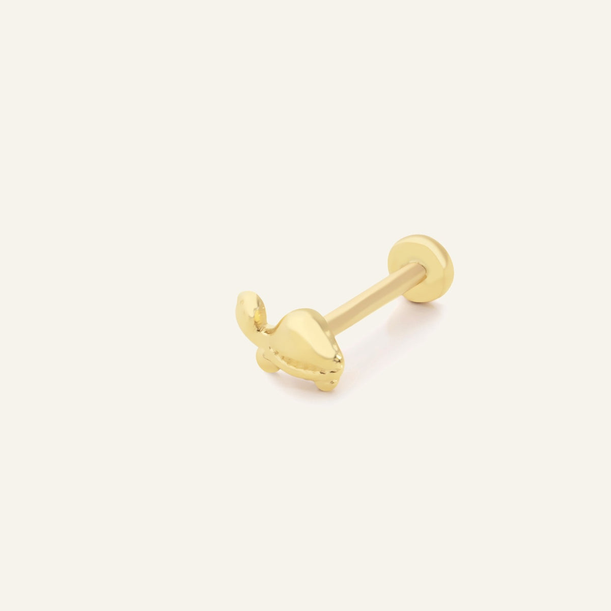 Kaplumbağa Altın Kulak Piercing