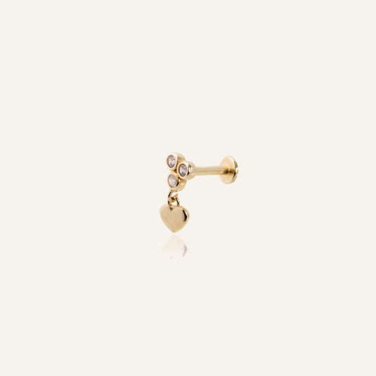 Pelunis Altın Kulak Piercing