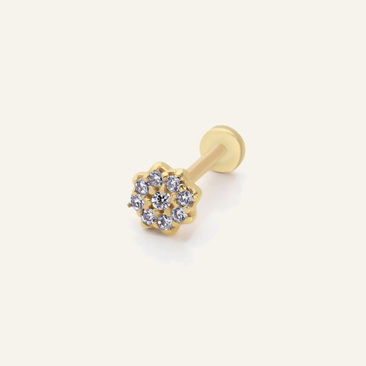 Penolira Altın Kulak Piercing
